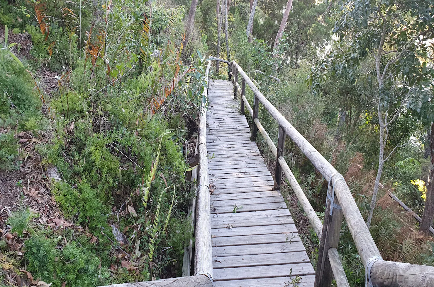 steps leading to small beach at Macquarie Lodge Noosa