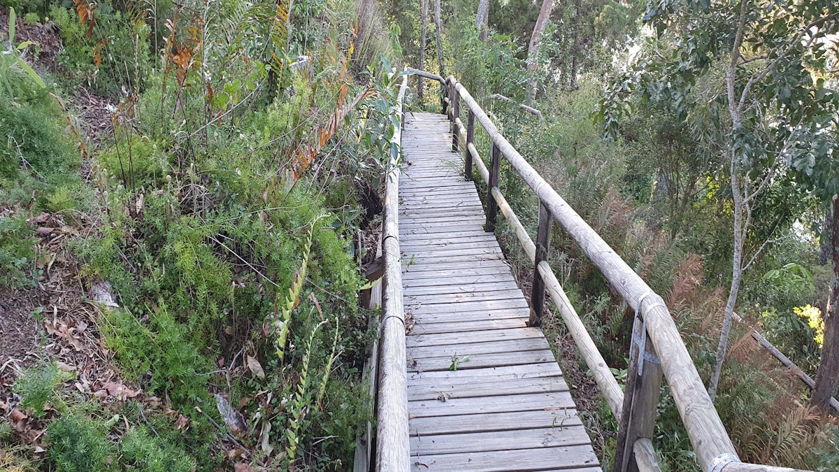 steps leading to small beach at Macquarie Lodge Noosa