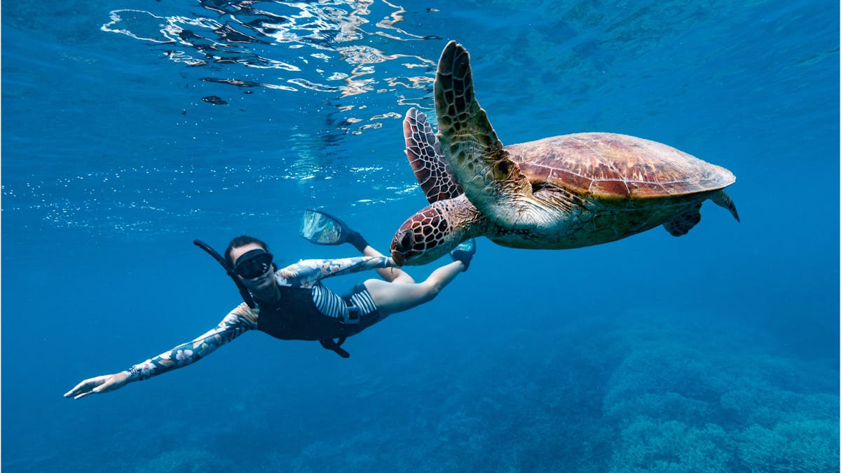 Lady-Musgrave-Experience-Great-Barrier-Reef