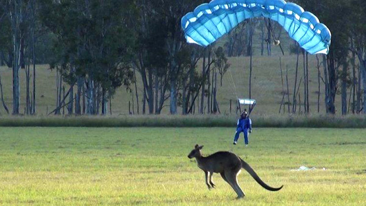 Student Tim Stanford landing on Stage 9 AFF (Accelerated Freefall Course) with a jumping Kangaroo