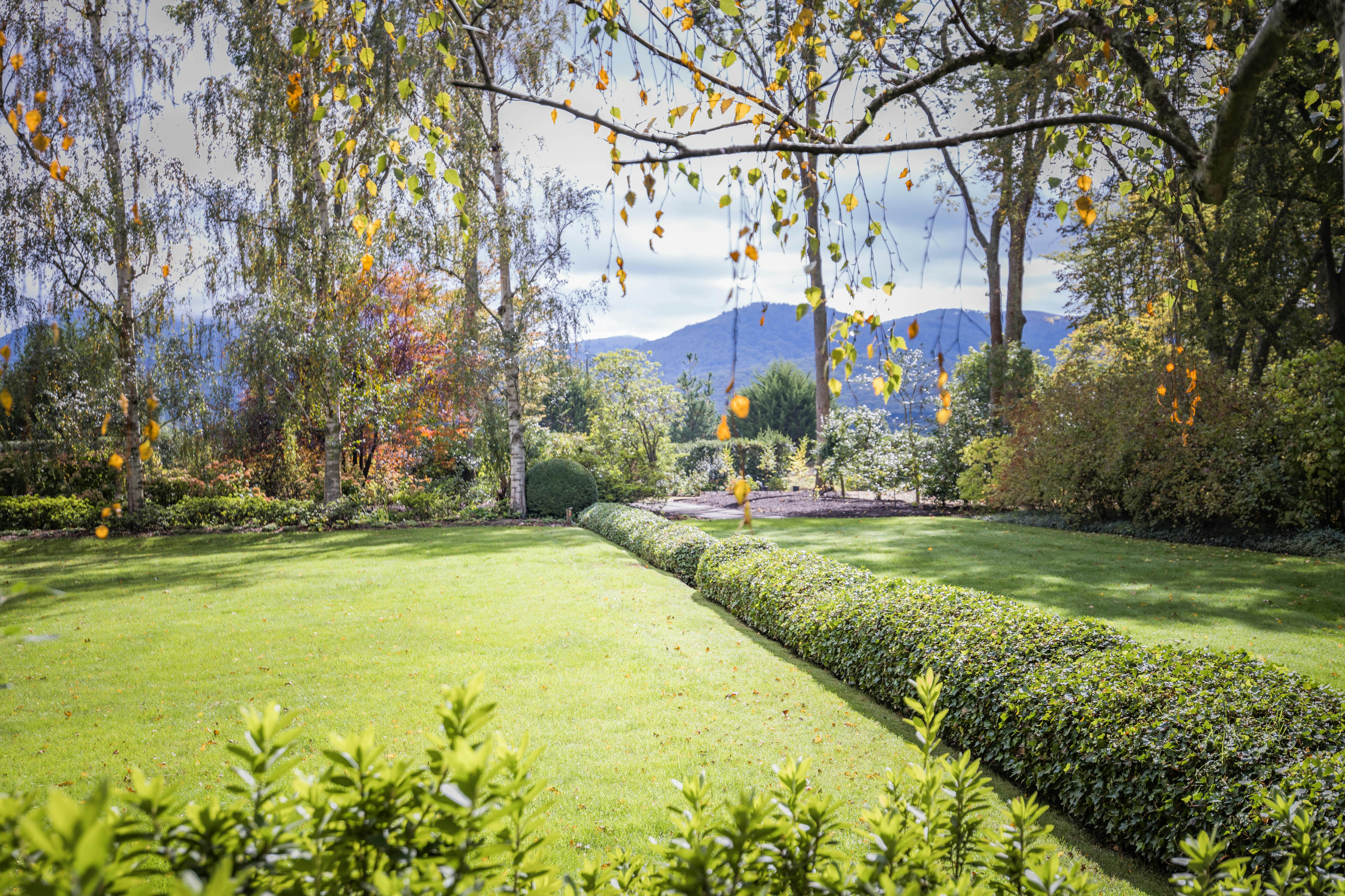 Garden1