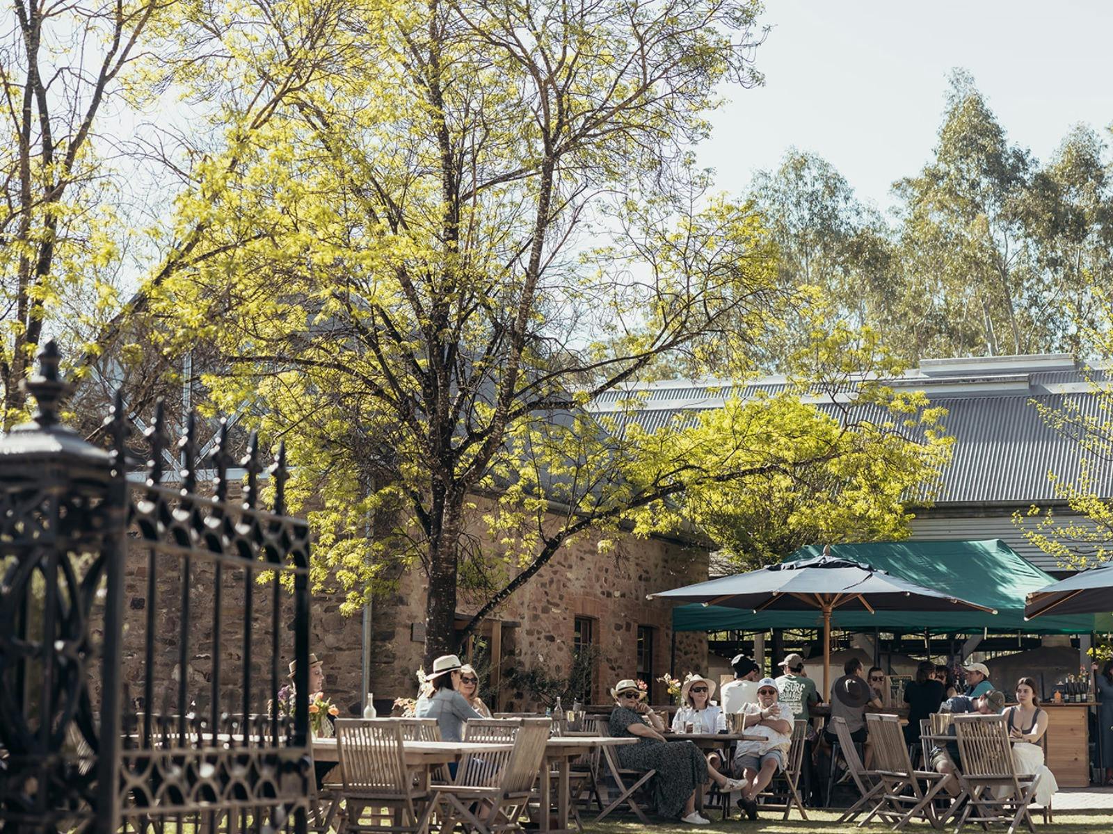 MItchell Wines cellardoor in the Clare Valley garden event