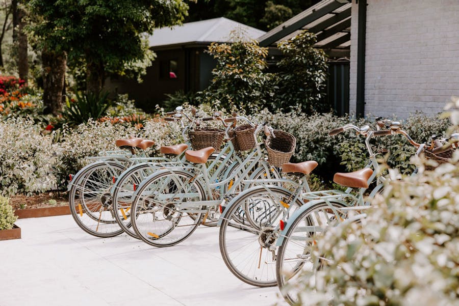 Aqua bikes lined up surrounded by garden