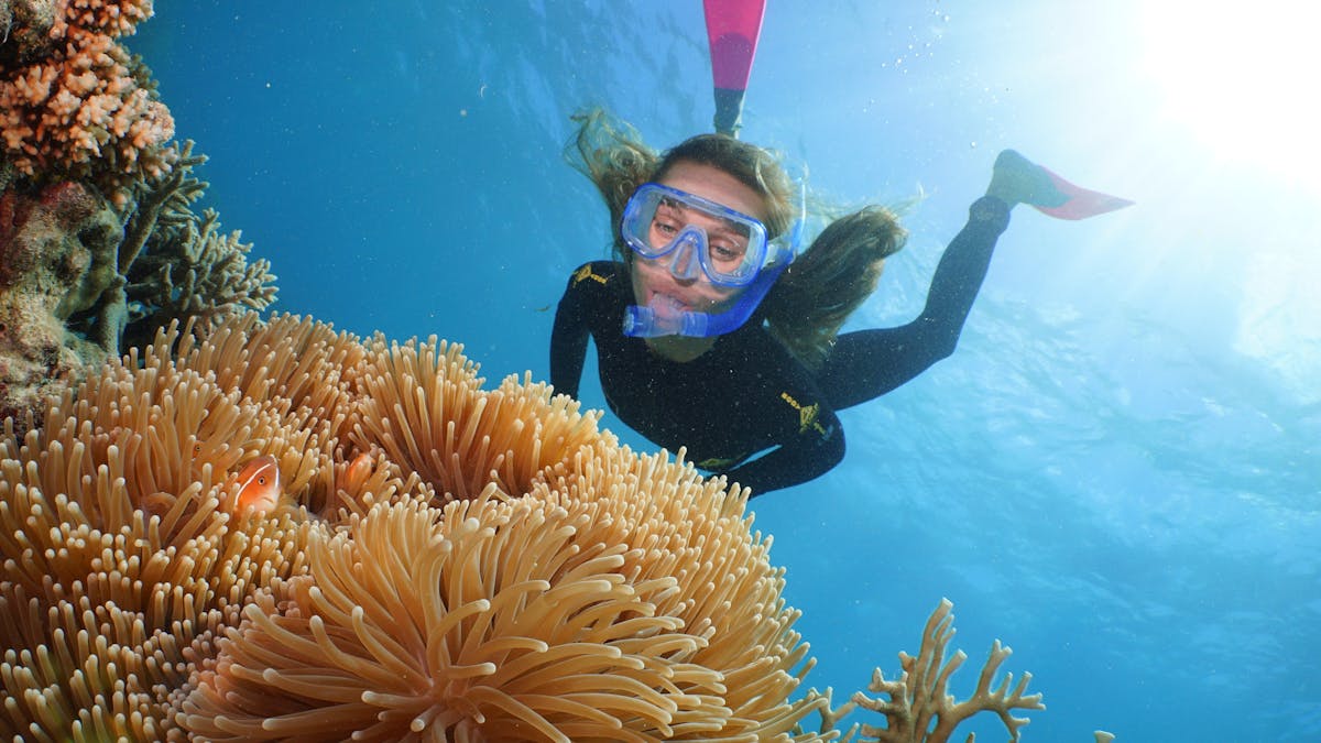 snorkeller and clownfish