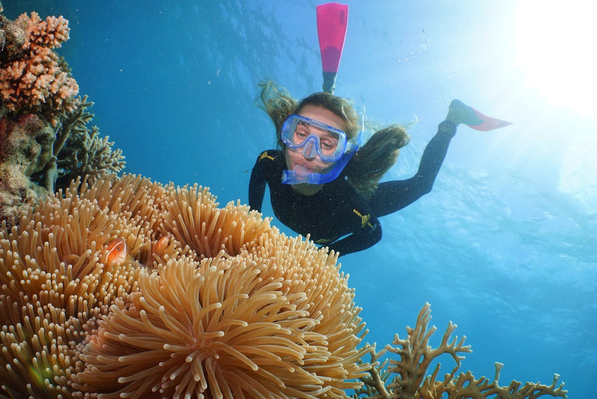 snorkeller and clownfish