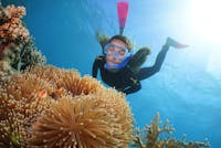 snorkeller and clownfish