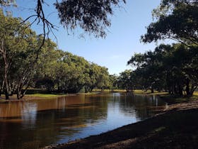Saddliers Waterhole and Hamburg Creek