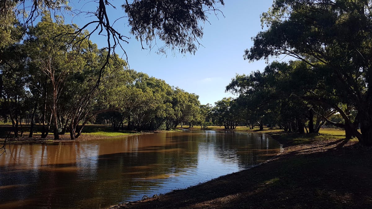 Saddliers Waterhole and Hamburg Creek