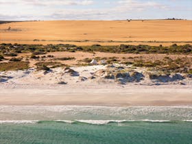 Aerial view of Salty Sands Retreats luxury glamping tent beside the beach and coastal sand dunes in