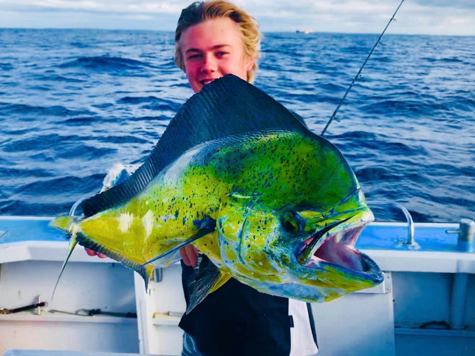 マヒマヒ釣り憲章