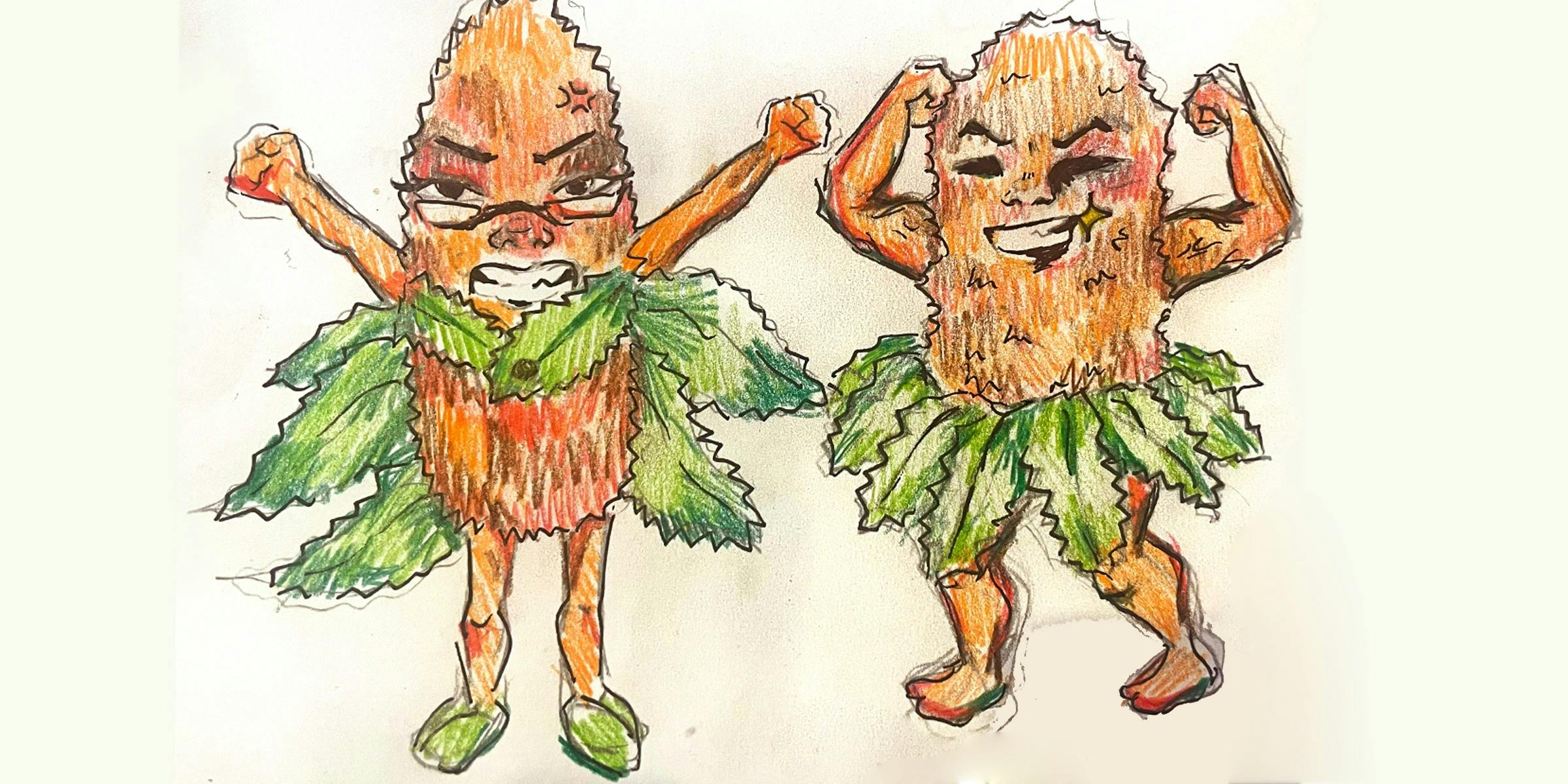 Two May Gibbs inspired Banksia Men