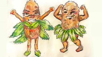 Two May Gibbs inspired Banksia Men