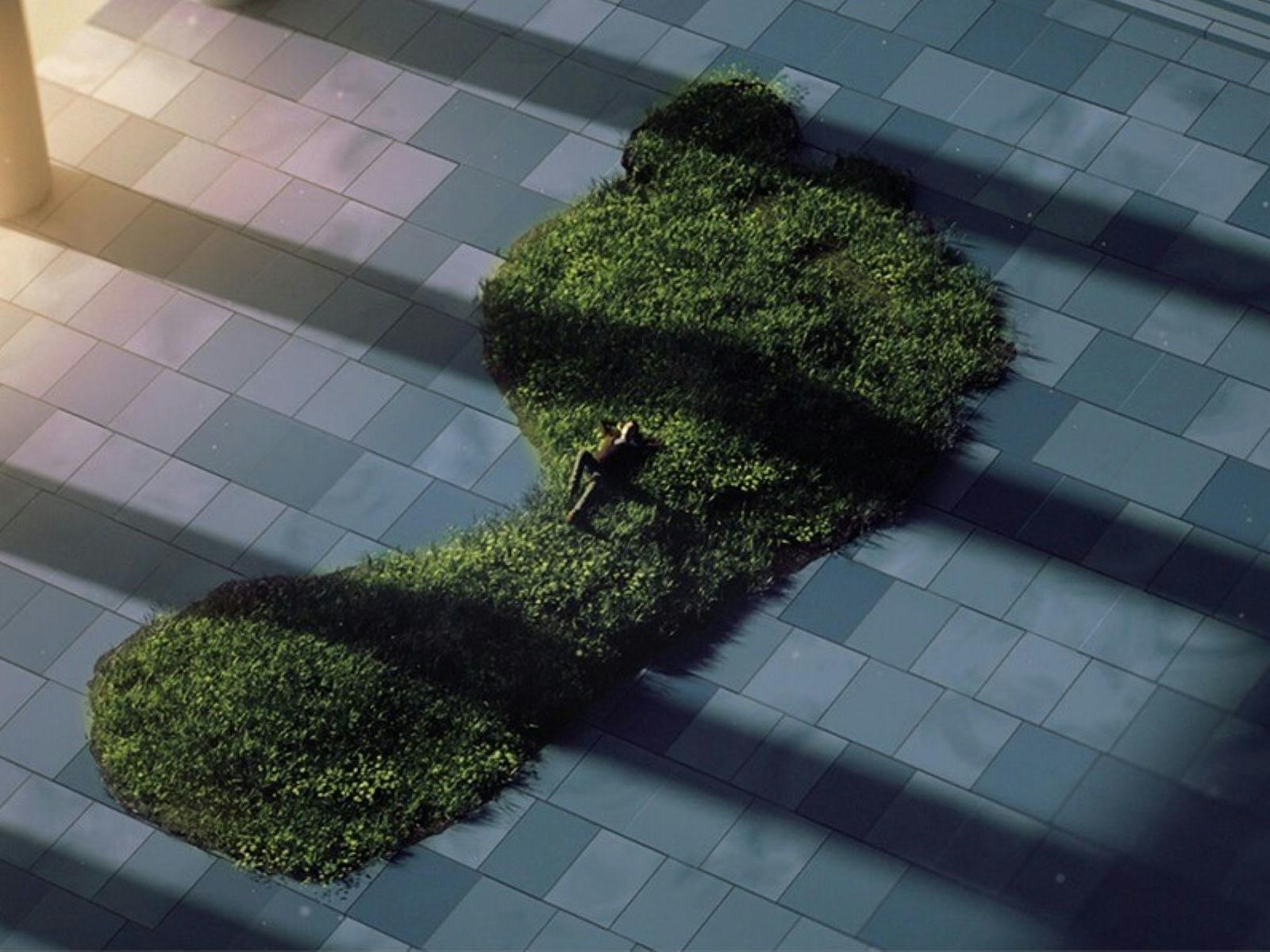 A journey through a surreal airport where nature and untranslatable words unexpectedly reveal...