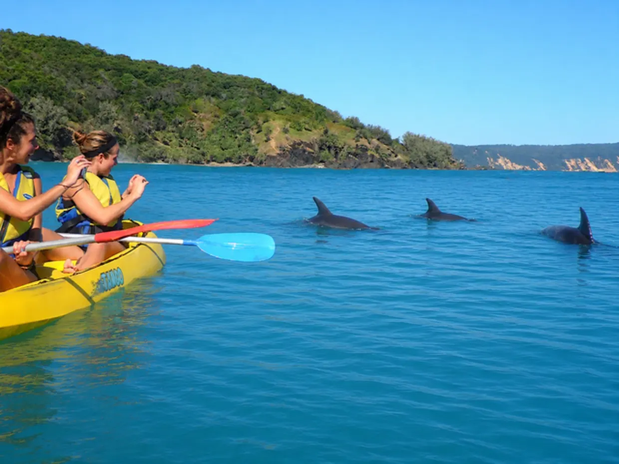 10% OFF Any Double Island Point Day Tour