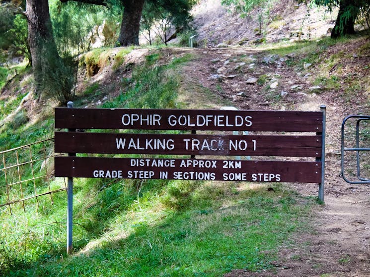 Ophir Reserve Walking Track