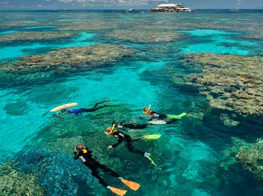 above watoer view of guided snorkel tour