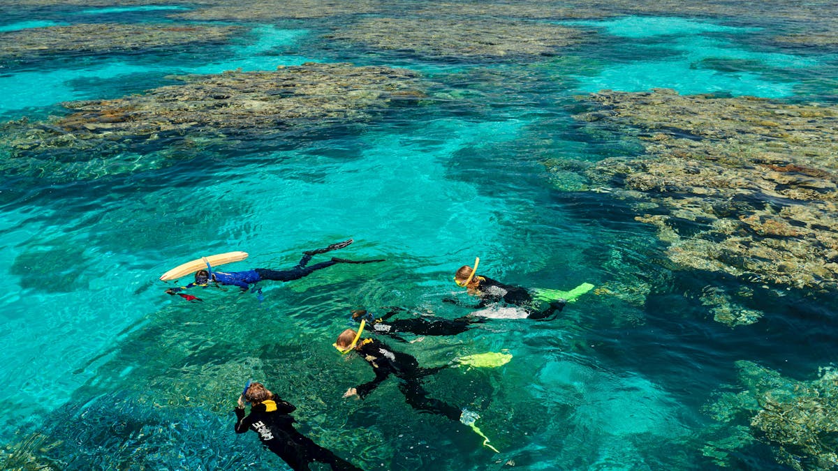 above watoer view of guided snorkel tour