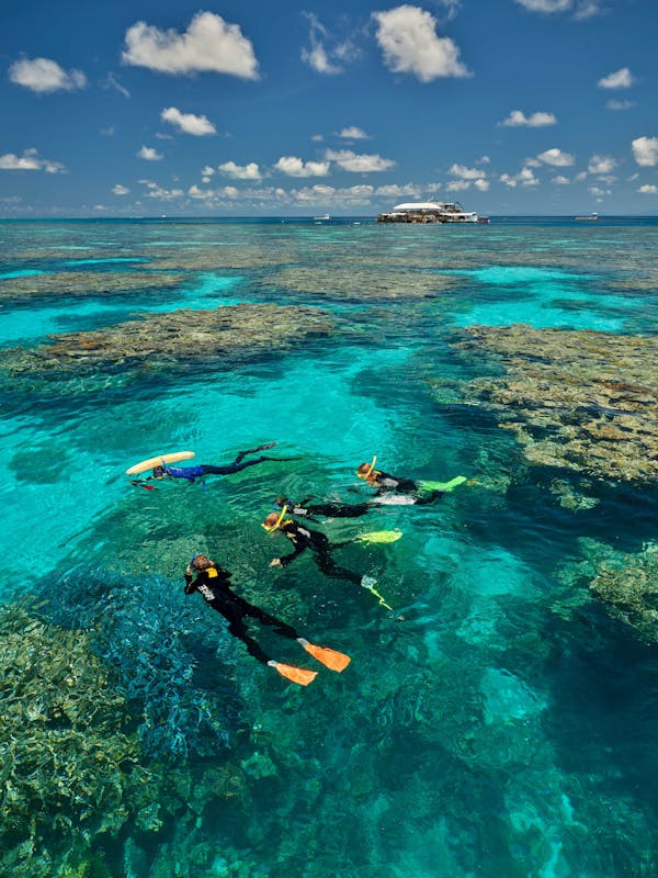 above watoer view of guided snorkel tour