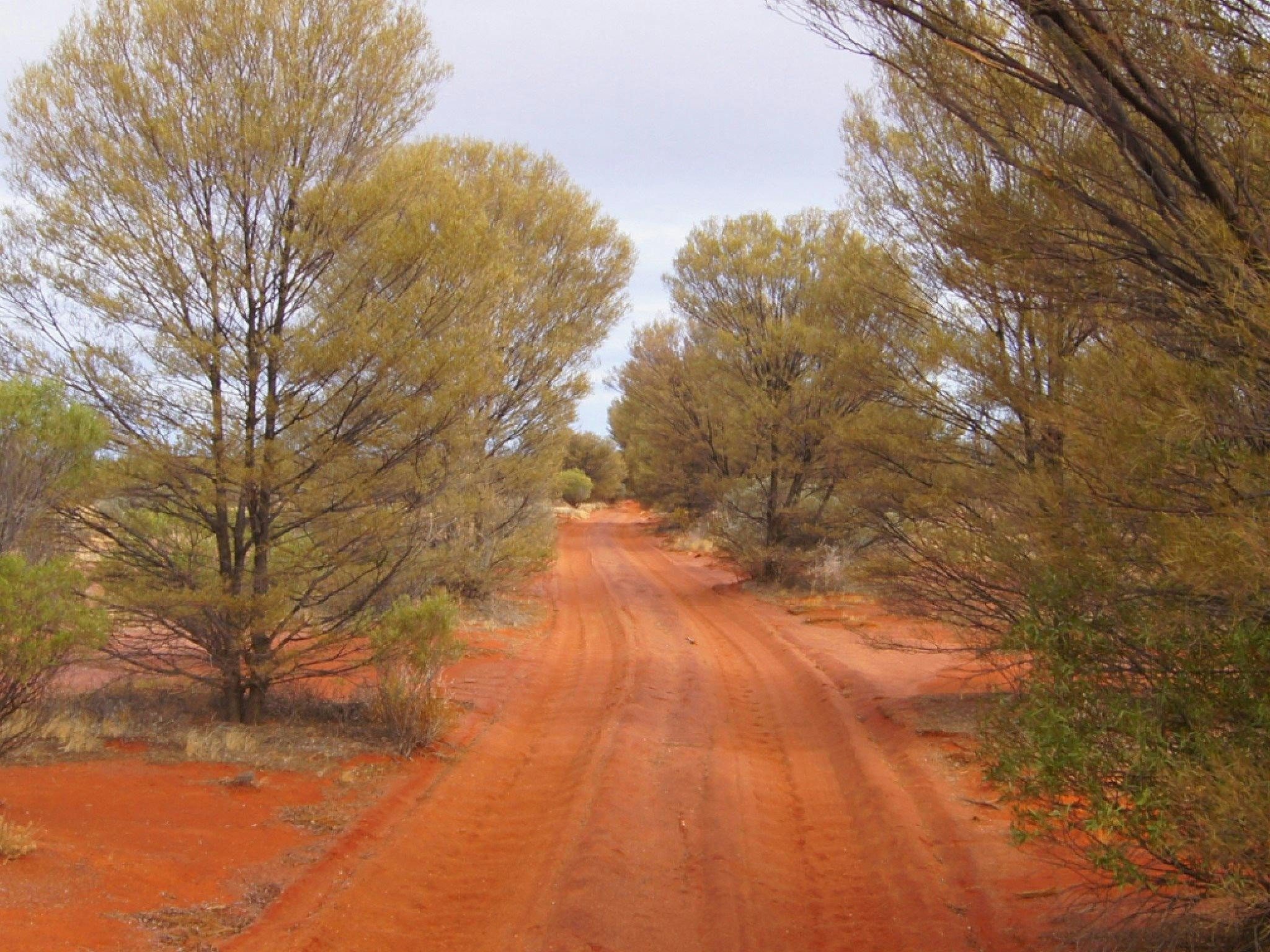 Tallaringa Conservation Park