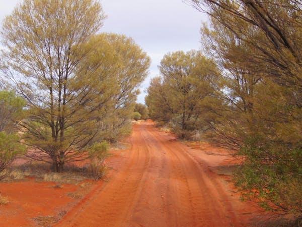 Tallaringa Conservation Park