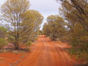 Anne Beadell Highway