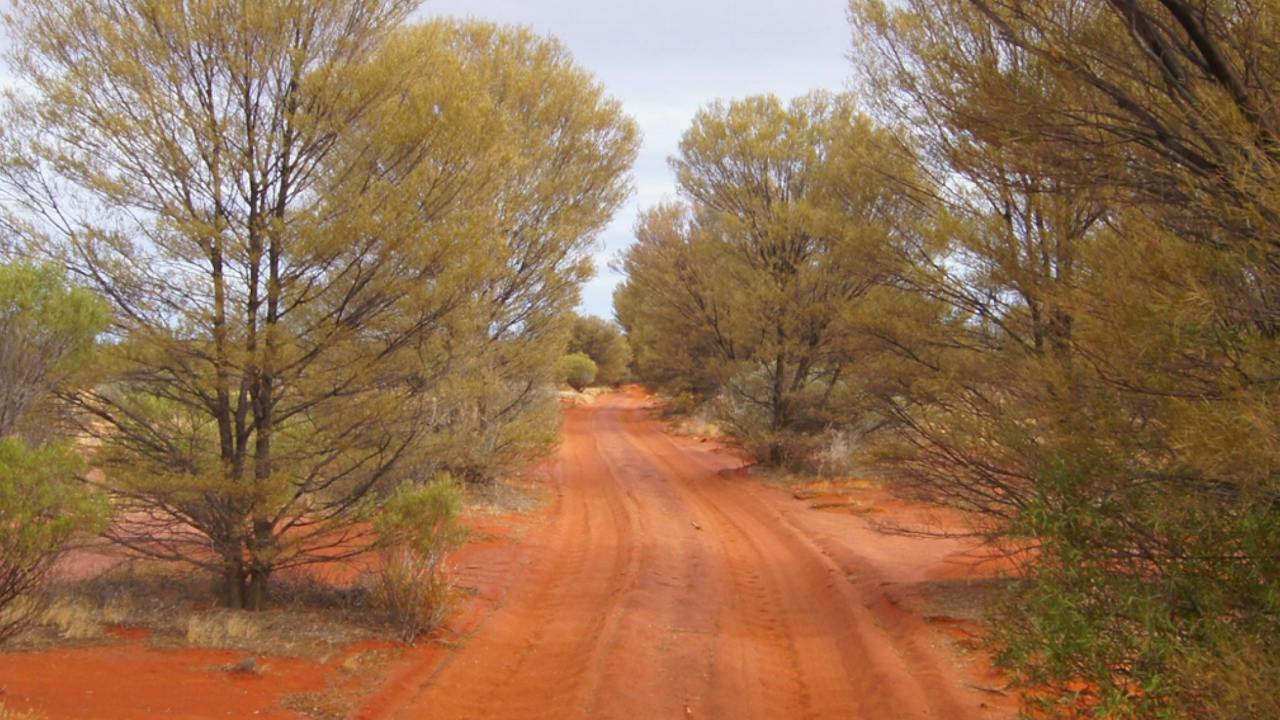 Tallaringa Conservation Park