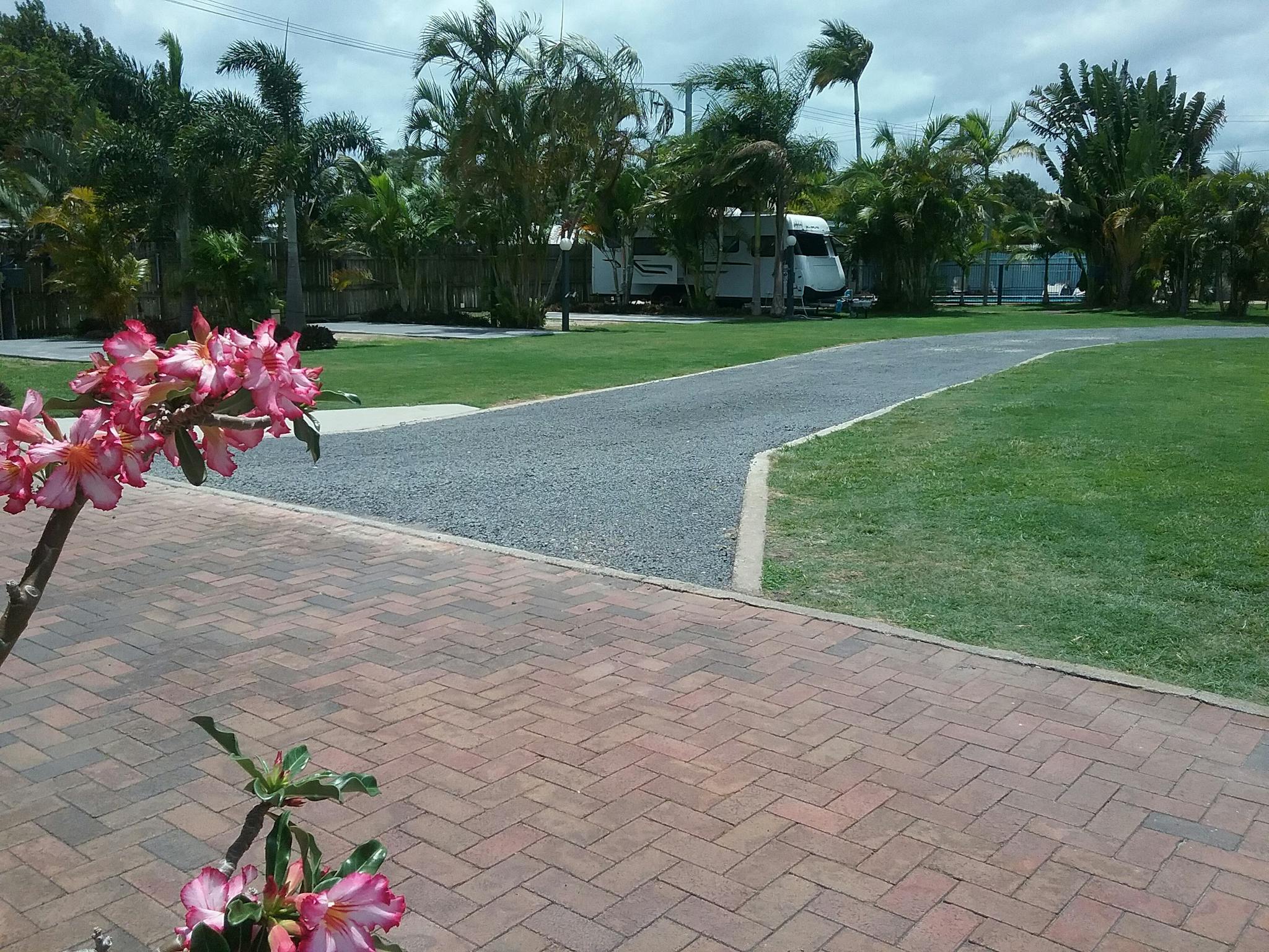 Palms Caravan Park powered sites, view from office Palms Caravan Park powered sites, view from office
