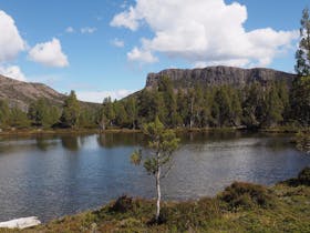 Trek Tasmania