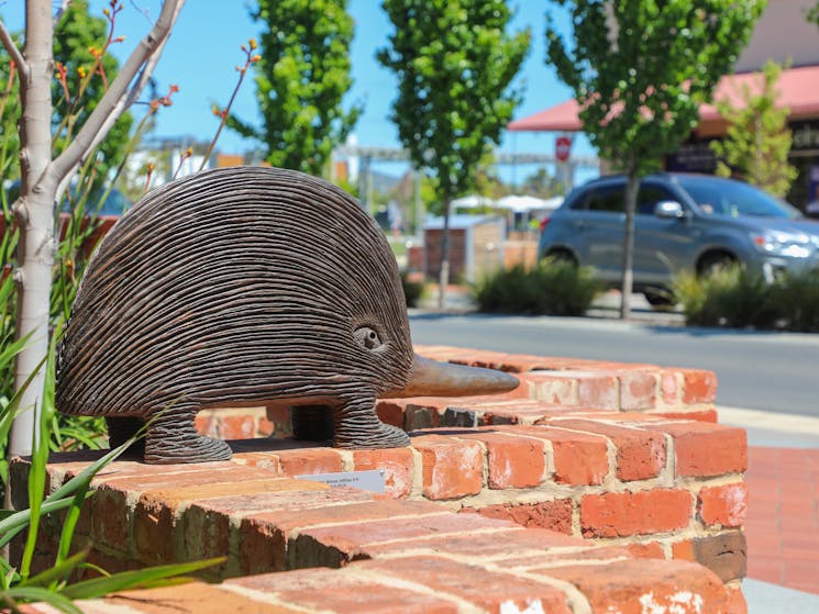 Echidna by Dean Bowen