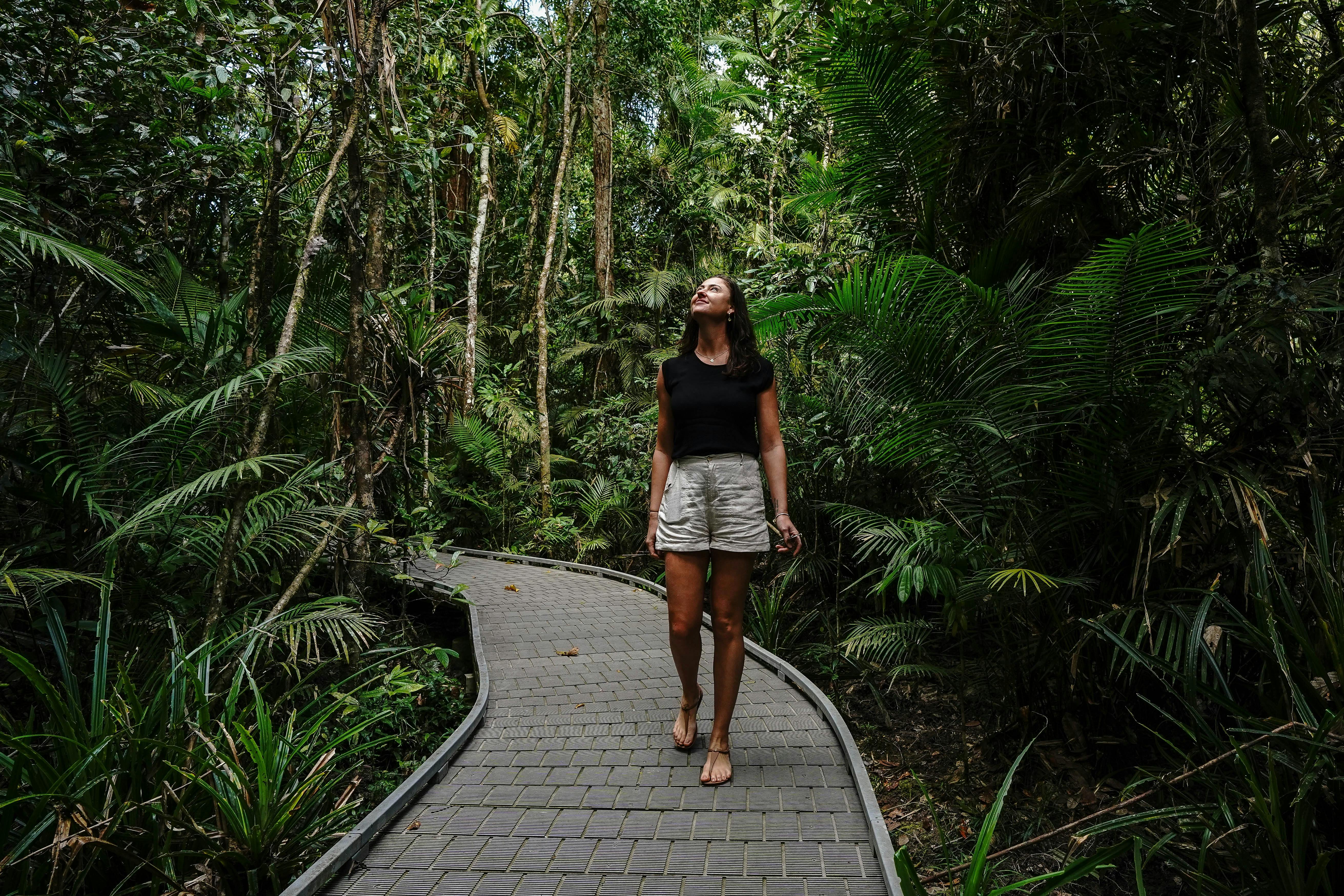 Luxury Private Daintree Tour
