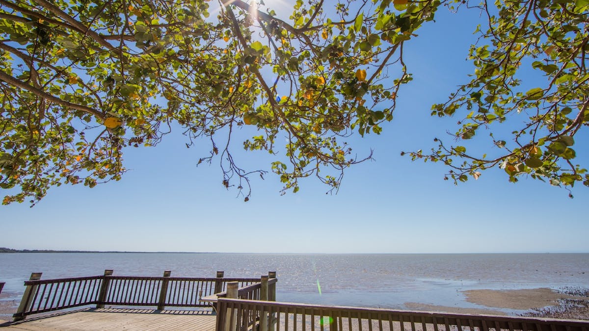 Waterfront boardwalk with cotton trees having over the pathway