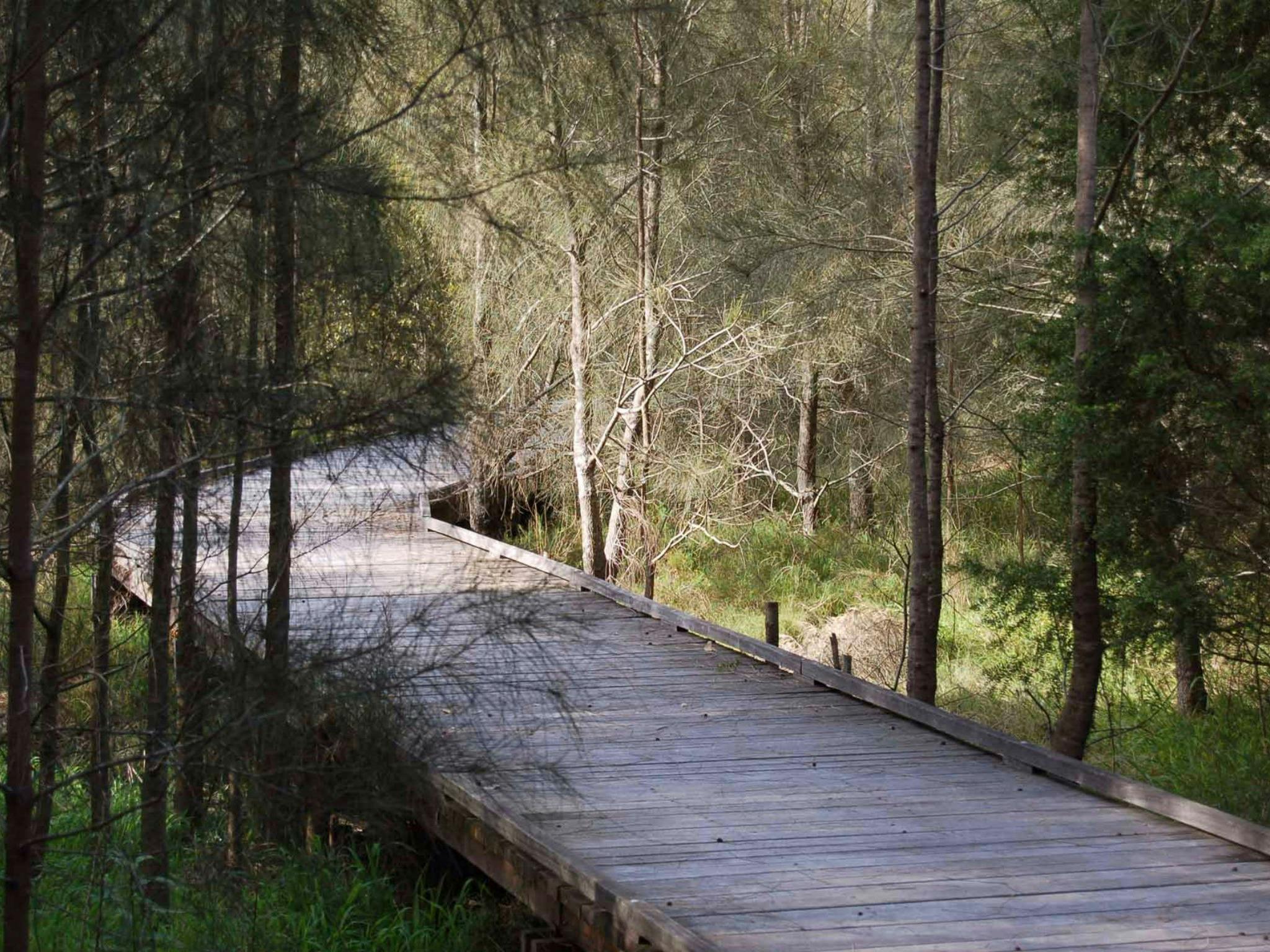 Welcome Walk, Hunter Wetlands National Park. Photo: Susan Davis/NSW Government