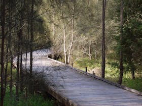 The Welcome Walk