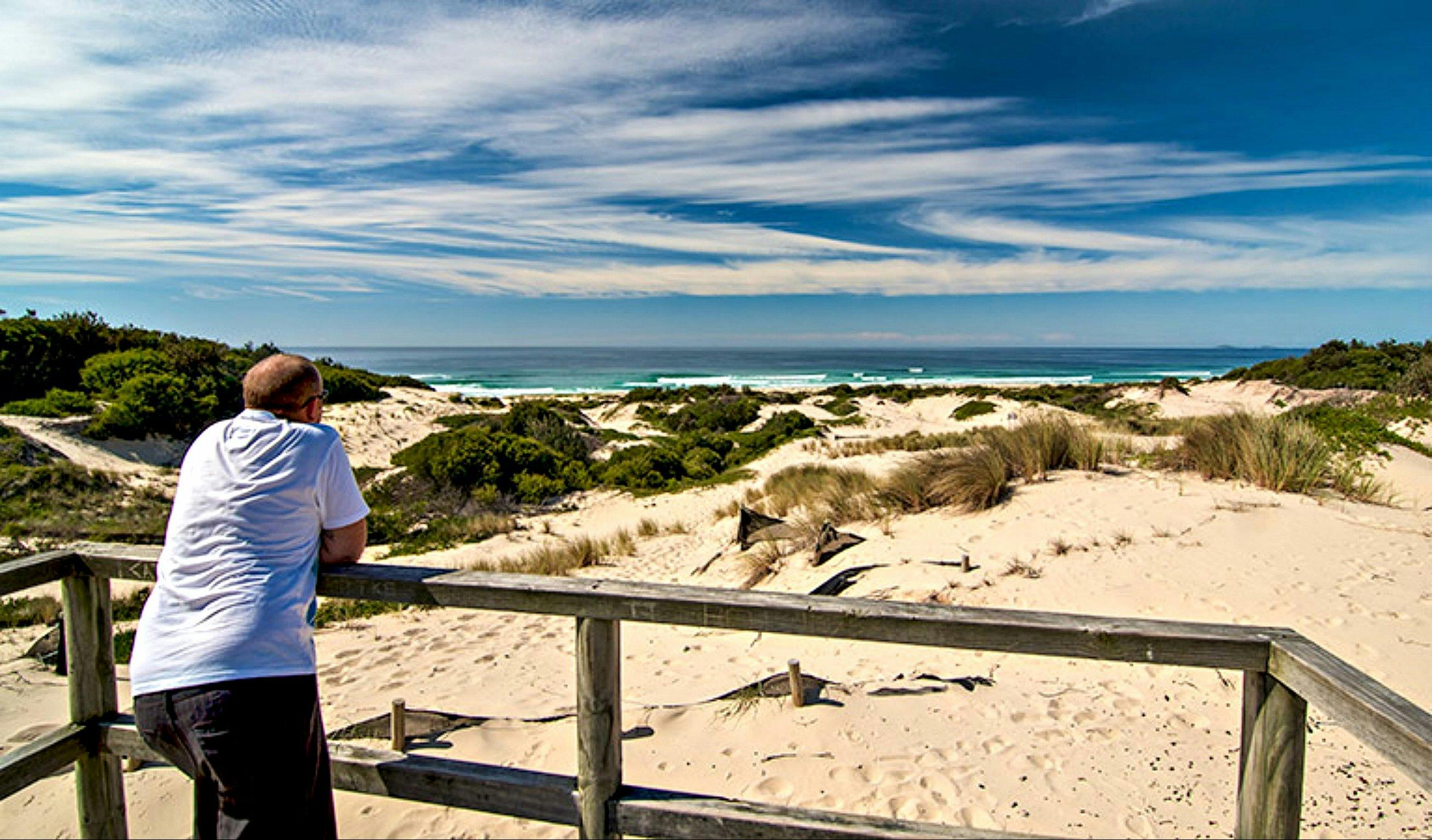 Submarine Beach walking track, Myall Lakes National Park. Photo: John Spencer/NSW Government