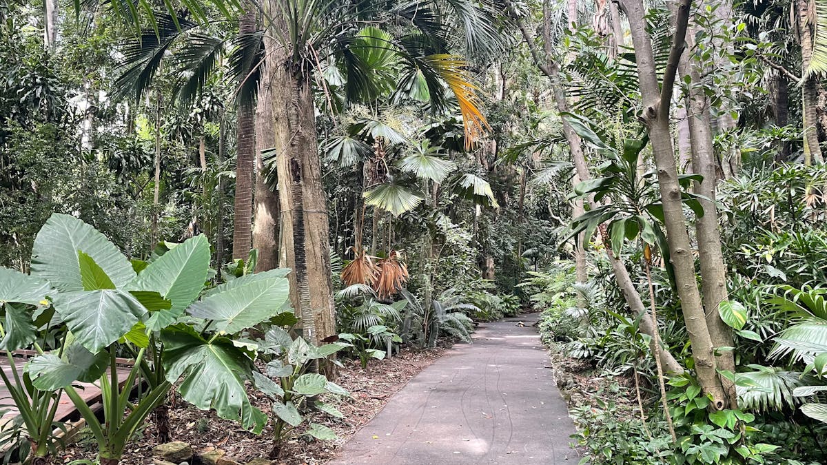 City Botanic Gardens