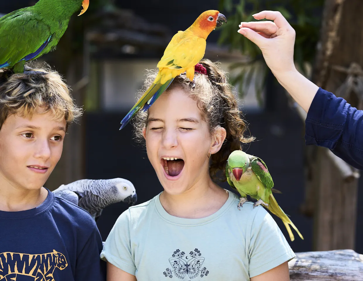 Botanic Gardens & Bird World Family Explorer Package