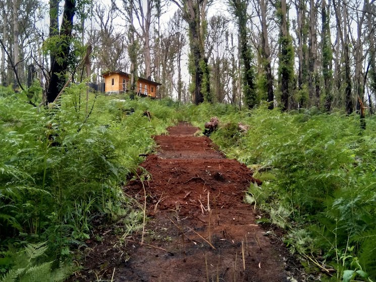 Pump track @ Endor