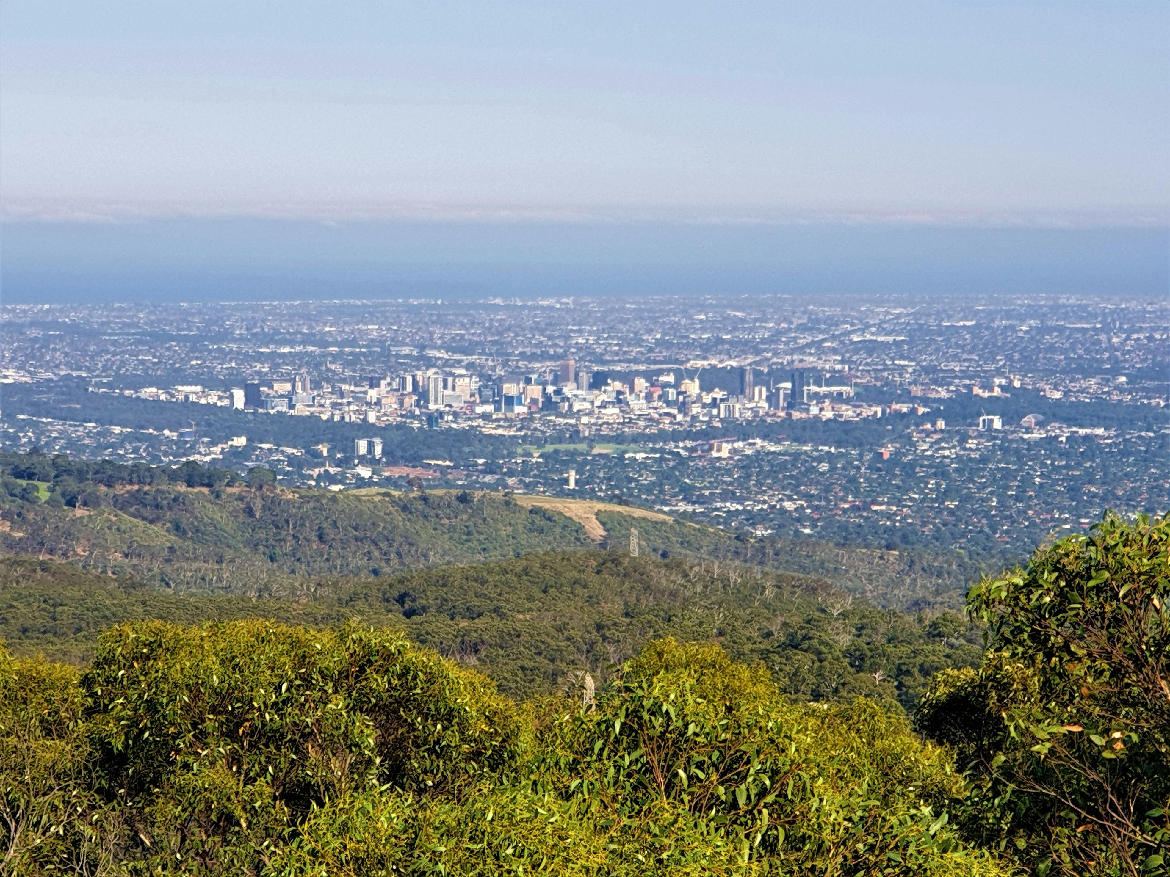 Mt Lofty Lookout