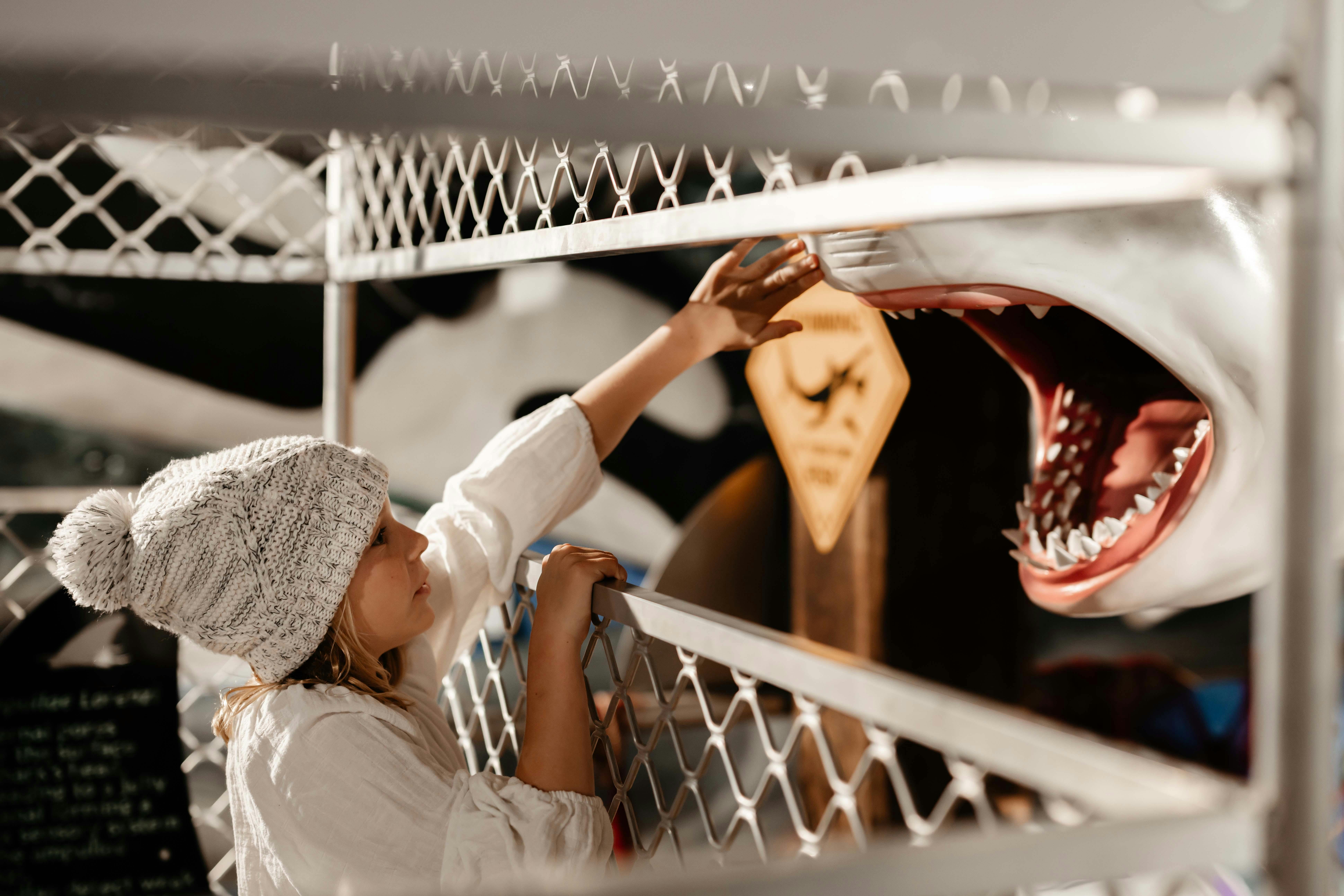 Touching the shark mouth