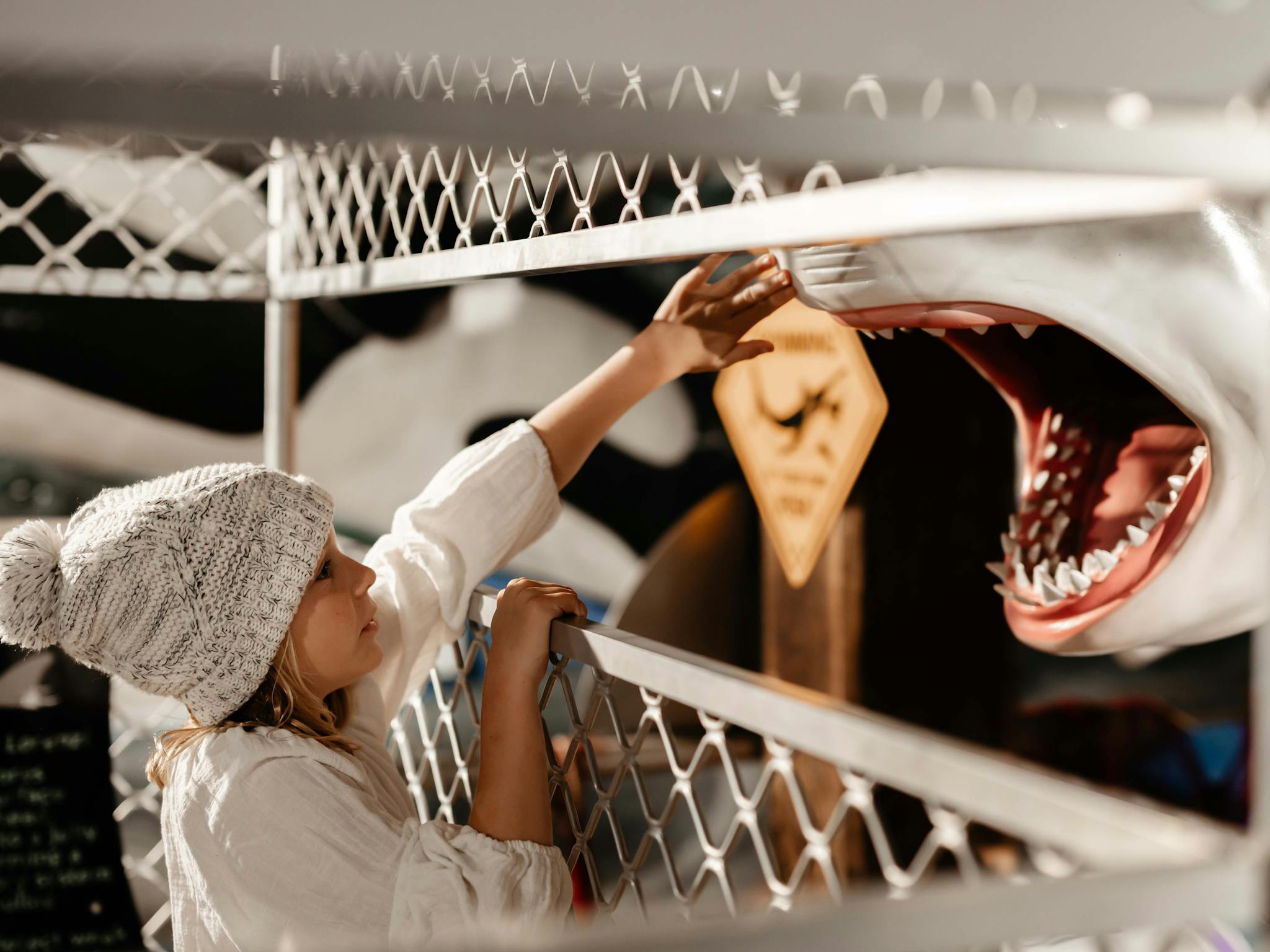 Touching the shark mouth
