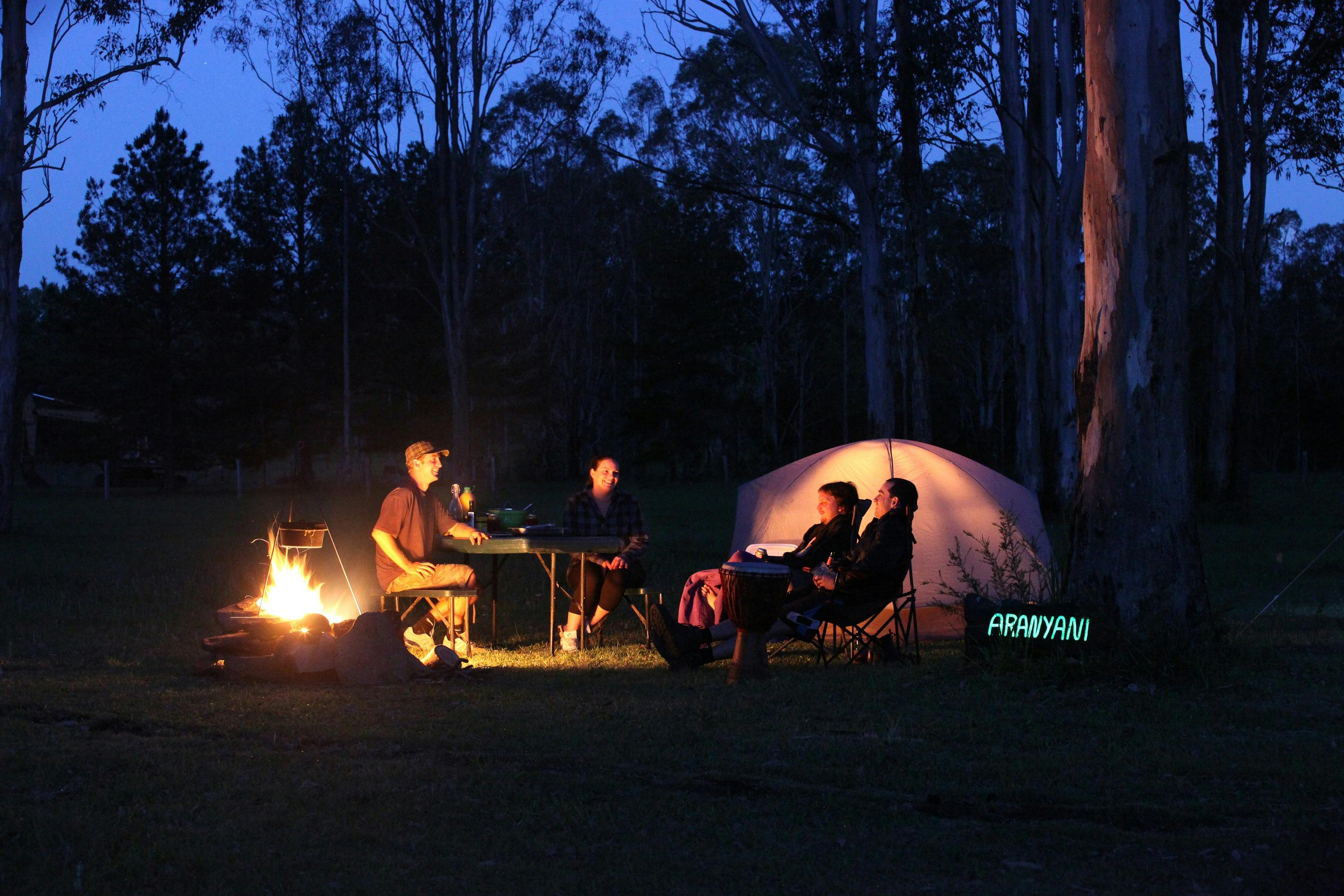 Bison Farm Casino Nsw