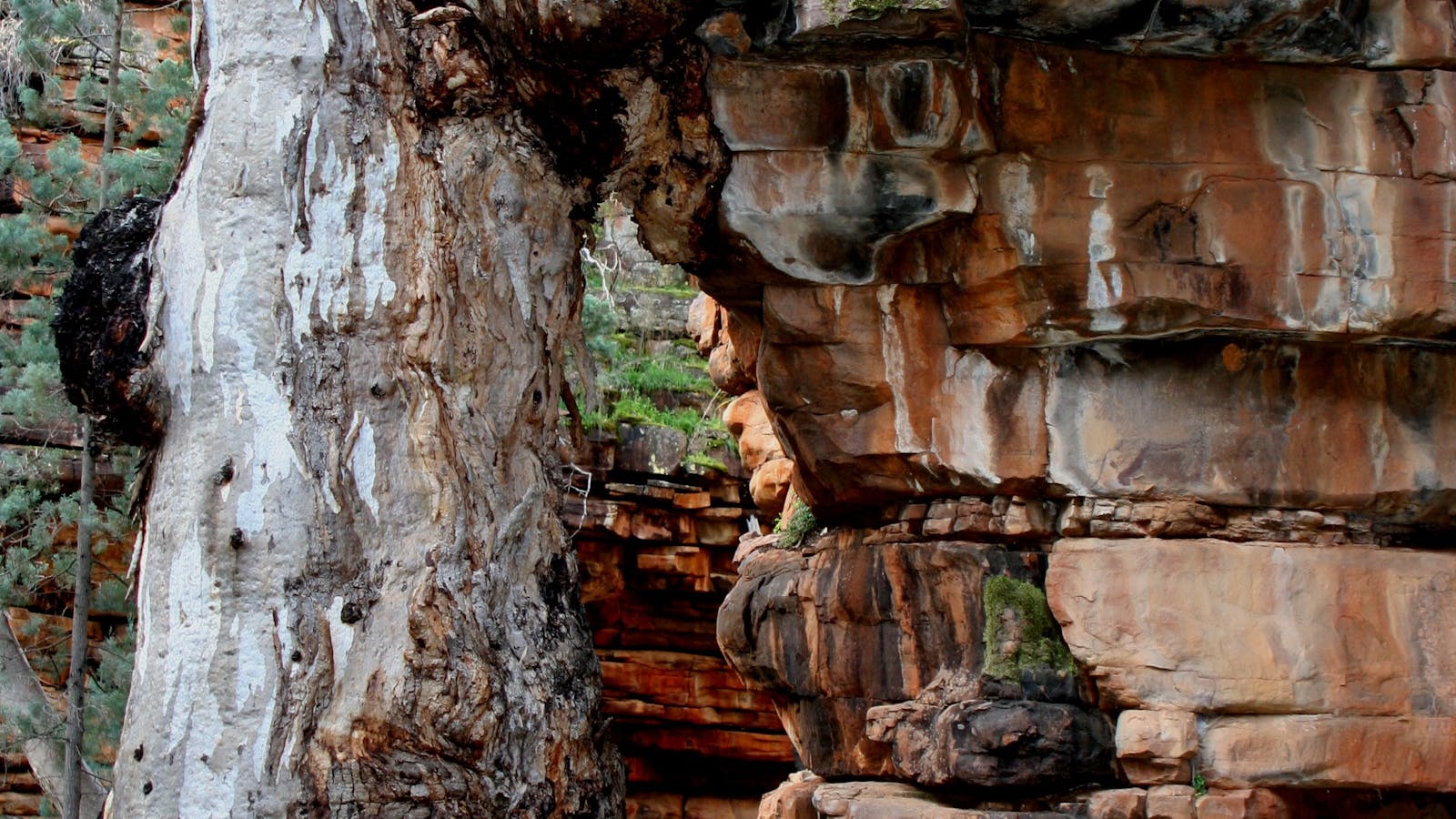 Mount Remarkable National Park