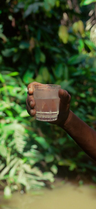 film photograph of person holding a clear glass against a blurred background of dense green plants