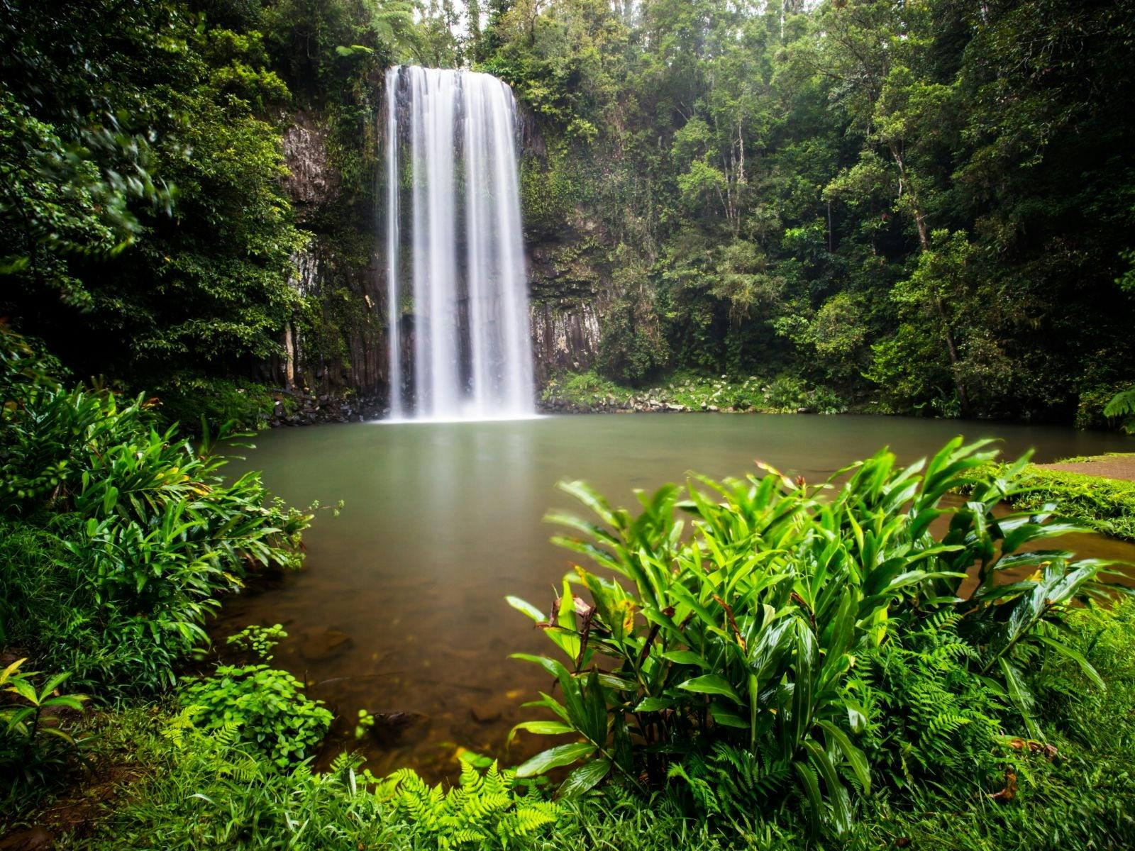 Milla Milla Waterfalls Milla Milla Waterfalls