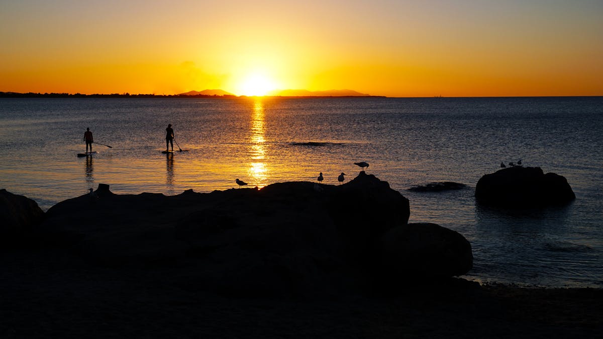 Paddle boarders with the sun setting over Grays Bay Bowen