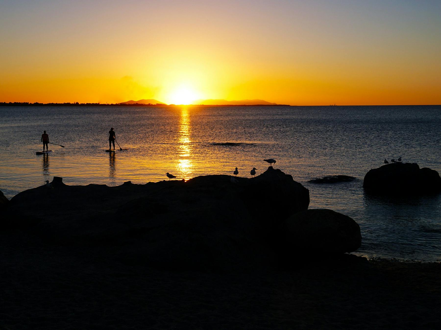 Paddle boarders with the sun setting over Grays Bay Bowen