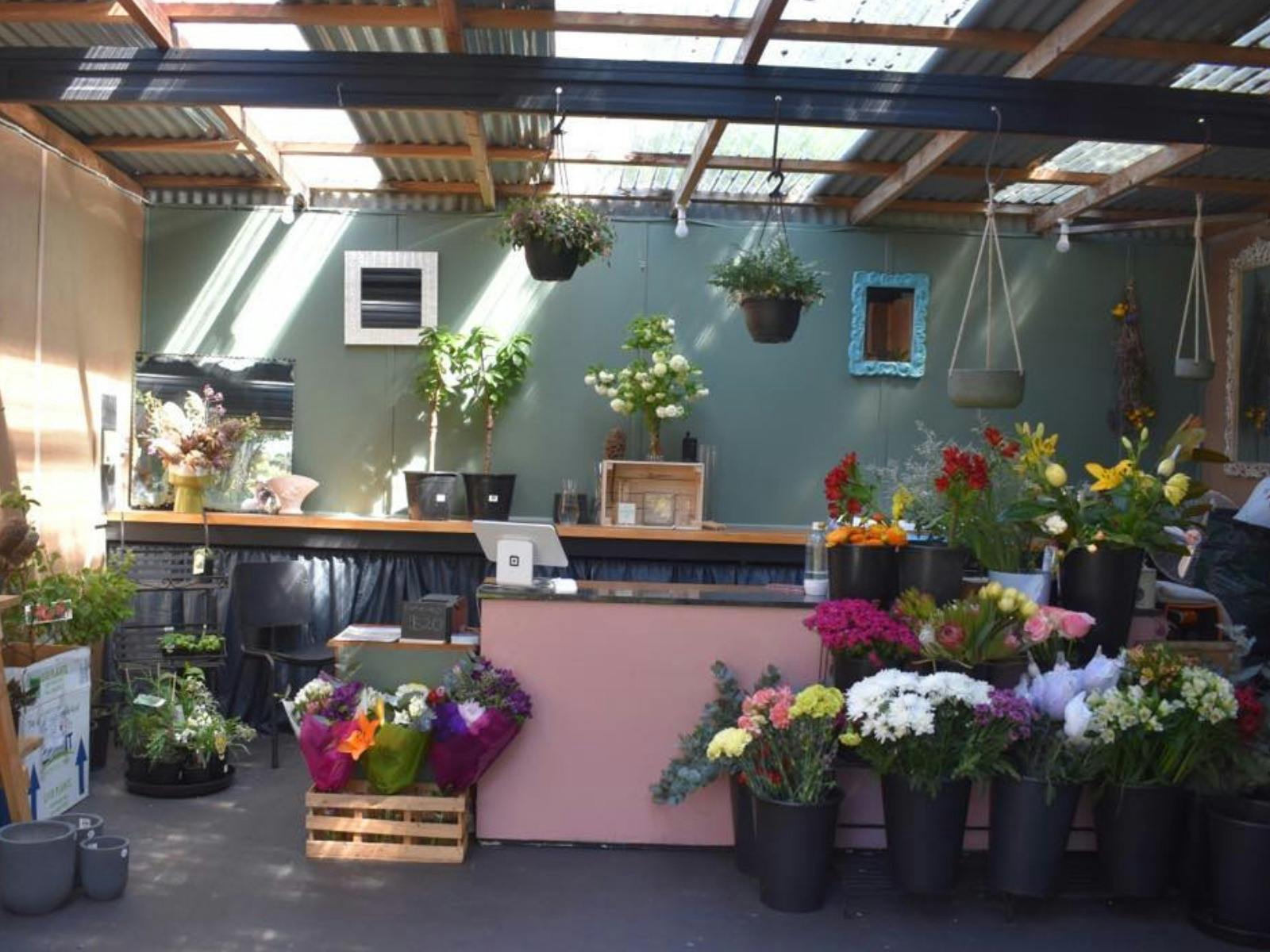 The Nursery and Florist King Island Family and kids Discover Tasmania