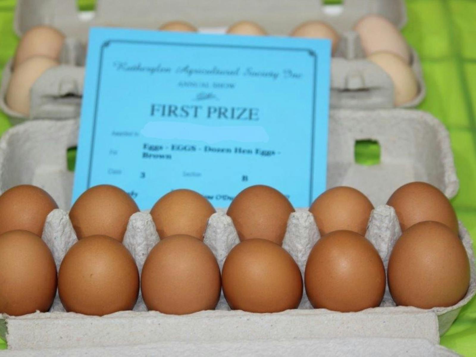 Egg carton containing a dozen brown hen eggs, winning first prize at show.