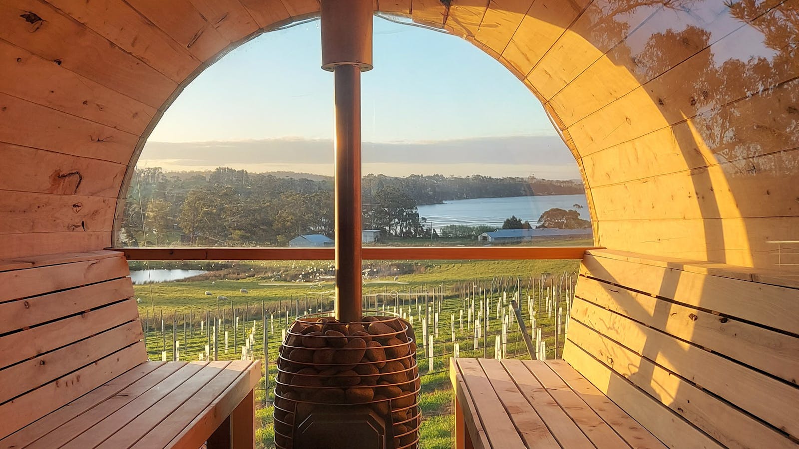 The vineyard views