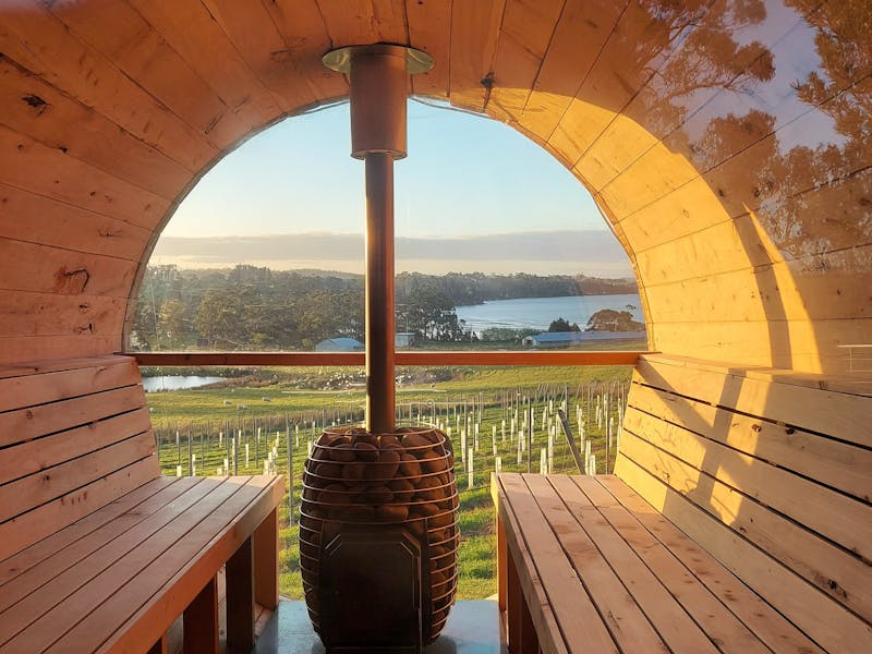 Vineyard